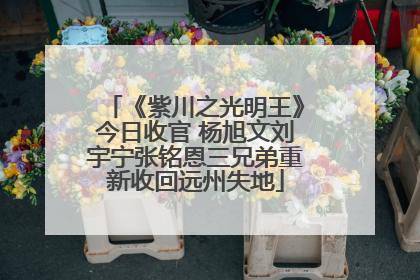 《紫川之光明王》今日收官 杨旭文刘宇宁张铭恩三兄弟重新收回远州失地