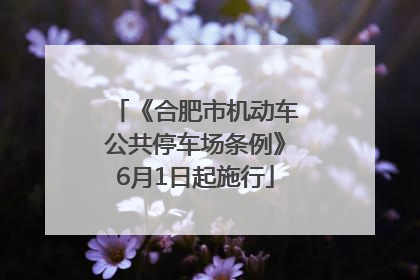 《合肥市机动车公共停车场条例》6月1日起施行