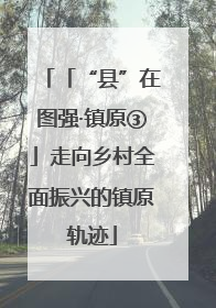 「“县”在图强·镇原③」走向乡村全面振兴的镇原轨迹