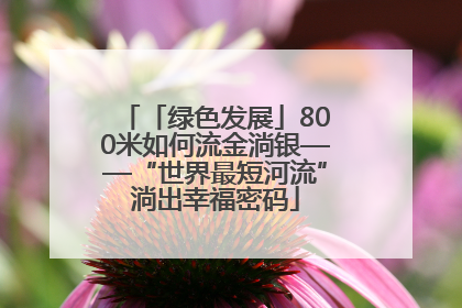 「绿色发展」800米如何流金淌银——“世界最短河流”淌出幸福密码
