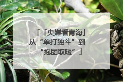 「央媒看青海」从“单打独斗”到“抱团取暖”