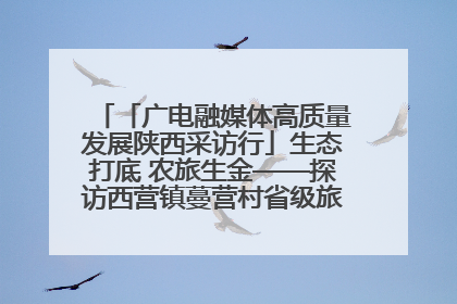 「广电融媒体高质量发展陕西采访行」生态打底 农旅生金——探访西营镇蔓营村省级旅游示范村的振兴密码