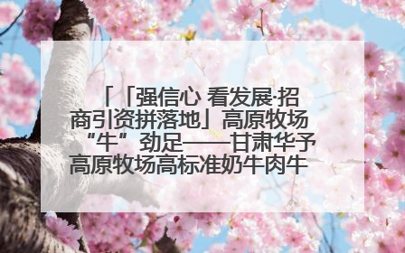 「强信心 看发展·招商引资拼落地」高原牧场“牛”劲足——甘肃华予高原牧场高标准奶牛肉牛养殖项目一线见闻