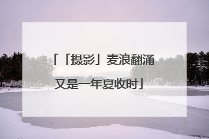 「摄影」麦浪翻涌 又是一年夏收时