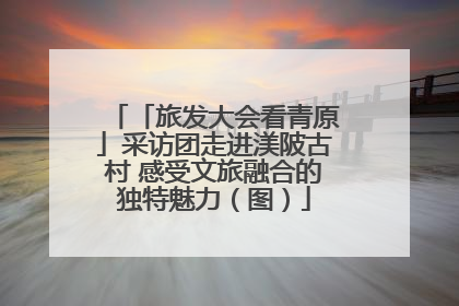 「旅发大会看青原」采访团走进渼陂古村 感受文旅融合的独特魅力（图）