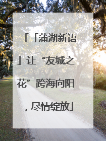 「蒲湖新语」让“友城之花”跨海向阳，尽情绽放
