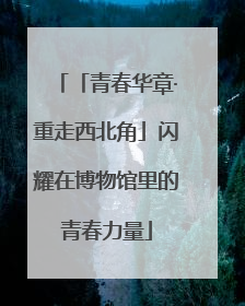 「青春华章·重走西北角」闪耀在博物馆里的青春力量