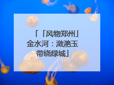 「风物郑州」金水河：潋滟玉带绕绿城