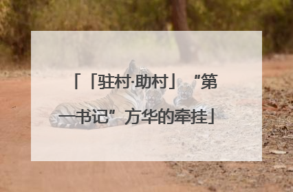 「驻村·助村」“第一书记”方华的牵挂