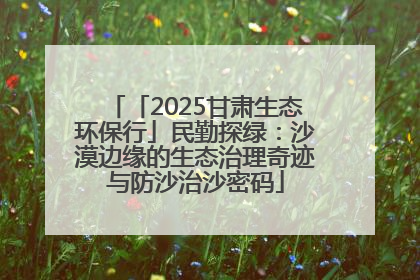 「2025甘肃生态环保行」民勤探绿：沙漠边缘的生态治理奇迹与防沙治沙密码
