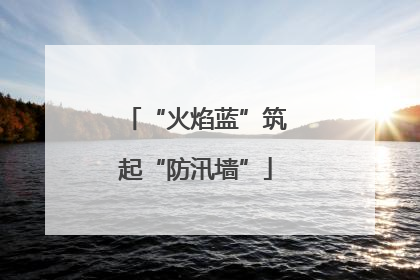 “火焰蓝”筑起“防汛墙”