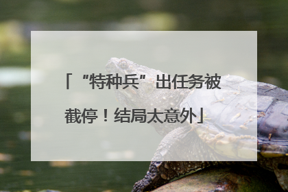 “特种兵”出任务被截停！结局太意外