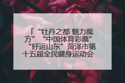 “牡丹之都 魅力魔方”“中国体育彩票”“好运山东”菏泽市第十五届全民健身运动会魔方比赛开幕
