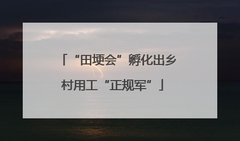 “田埂会”孵化出乡村用工“正规军”