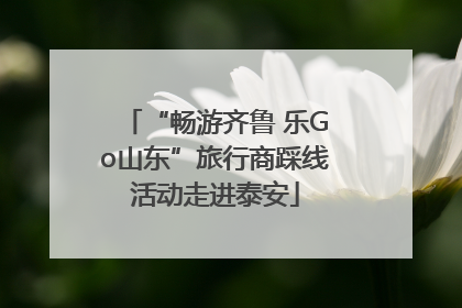 “畅游齐鲁 乐Go山东”旅行商踩线活动走进泰安