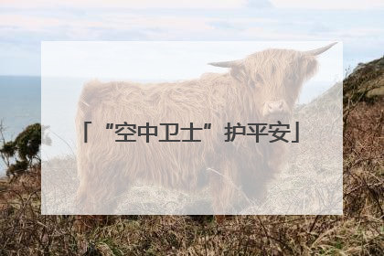 “空中卫士”护平安