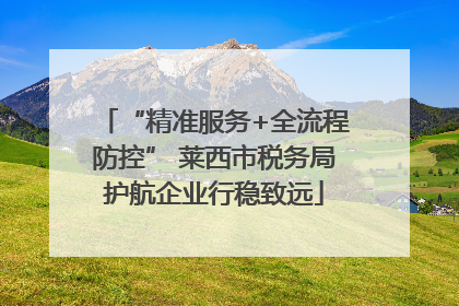 “精准服务+全流程防控” 莱西市税务局护航企业行稳致远