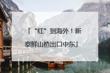 “红”到海外！新泰鲜山楂出口中东