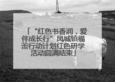 “红色书香润，爱伴成长行”凤城镇福蕾行动计划红色研学活动圆满结束