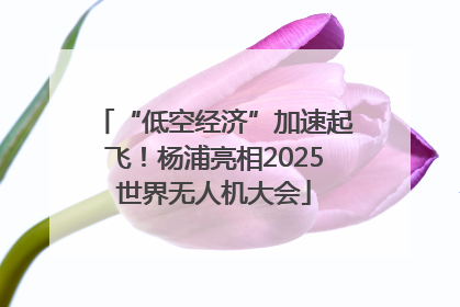“低空经济”加速起飞！杨浦亮相2025世界无人机大会