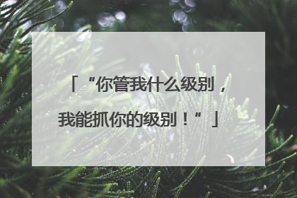 “你管我什么级别，我能抓你的级别！”