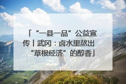 “一县一品”公益宣传丨武冈：卤水里熬出“草根经济”的醇香