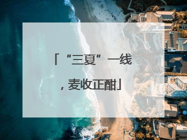 “三夏”一线，麦收正酣