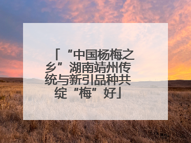 “中国杨梅之乡”湖南靖州传统与新引品种共绽“梅”好
