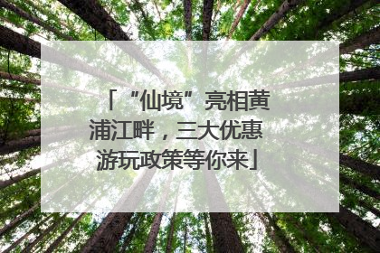 “仙境”亮相黄浦江畔，三大优惠游玩政策等你来