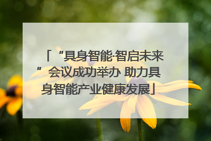 “具身智能·智启未来”会议成功举办 助力具身智能产业健康发展