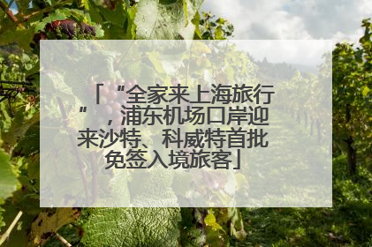 “全家来上海旅行”，浦东机场口岸迎来沙特、科威特首批免签入境旅客
