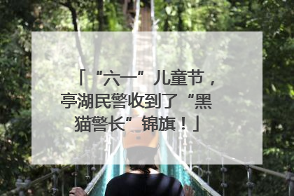 “六一”儿童节，亭湖民警收到了“黑猫警长”锦旗！