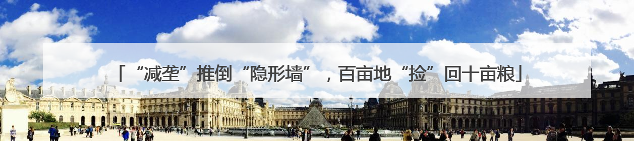 “减垄”推倒“隐形墙”，百亩地“捡”回十亩粮