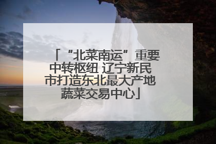 “北菜南运”重要中转枢纽 辽宁新民市打造东北最大产地蔬菜交易中心