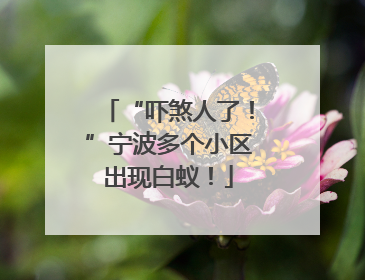 “吓煞人了！”宁波多个小区出现白蚁！
