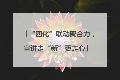 “四化”联动聚合力，宣讲走“新”更走心