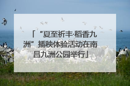 “夏至祈丰·稻香九洲”插秧体验活动在南昌九洲公园举行
