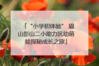 “小学初体验” 眉山彭山二小助力区幼萌娃探秘成长之旅