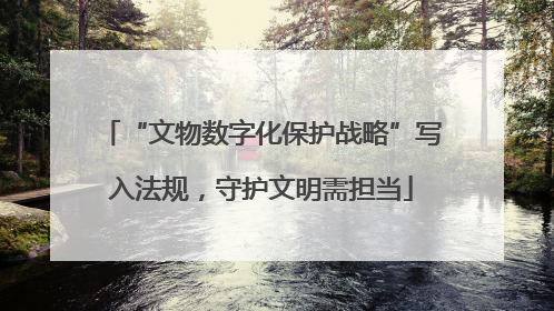 “文物数字化保护战略”写入法规，守护文明需担当
