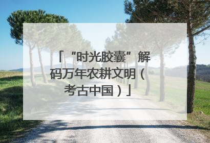“时光胶囊”解码万年农耕文明（考古中国）