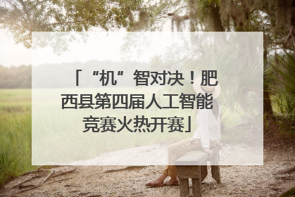 “机”智对决！肥西县第四届人工智能竞赛火热开赛
