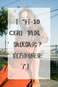 “歼-10CE和‘阵风’孰优孰劣？”官方回应来了