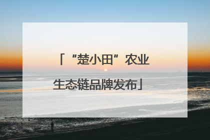 “楚小田”农业生态链品牌发布