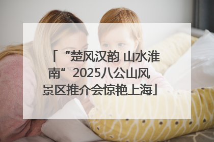 “楚风汉韵 山水淮南”2025八公山风景区推介会惊艳上海