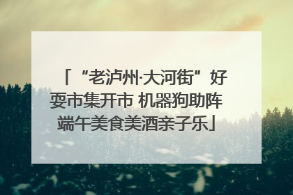 “老泸州·大河街”好耍市集开市 机器狗助阵端午美食美酒亲子乐