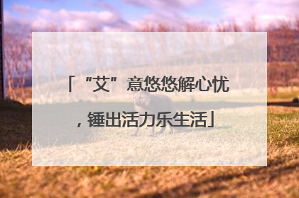 “艾”意悠悠解心忧，锤出活力乐生活