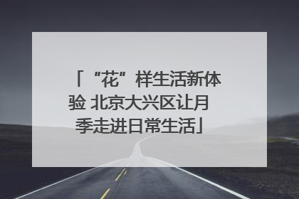 “花”样生活新体验 北京大兴区让月季走进日常生活