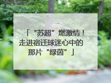 “苏超”燃激情！走进宿迁球迷心中的那片“绿茵”