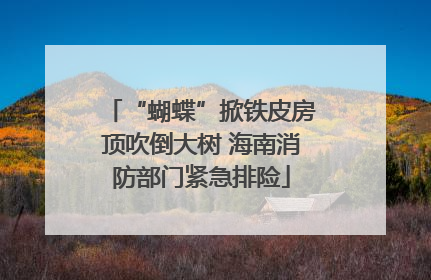 “蝴蝶”掀铁皮房顶吹倒大树 海南消防部门紧急排险