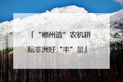 “郴州造”农机耕耘非洲好“丰”景